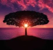 Profile picture for user zimpraise 2020